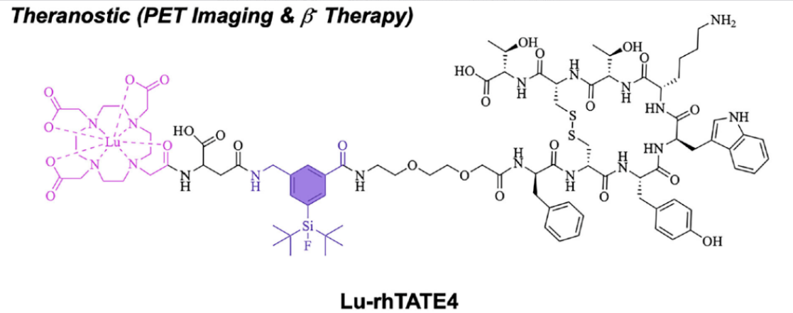 核药研发新突破：首款sstR2靶向一体化诊疗分子临床前性能优异