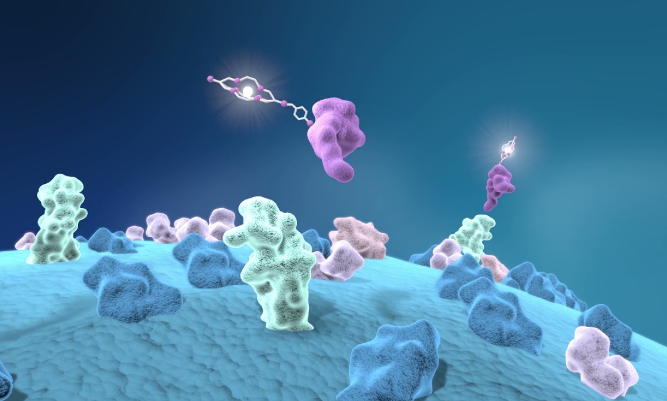 Clarity与Nucleus RadioPharma就新型前列腺癌诊断药物达成商业化生产协议