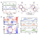 核量子效应驱动的固体阿秒电子动力学涨落新机制