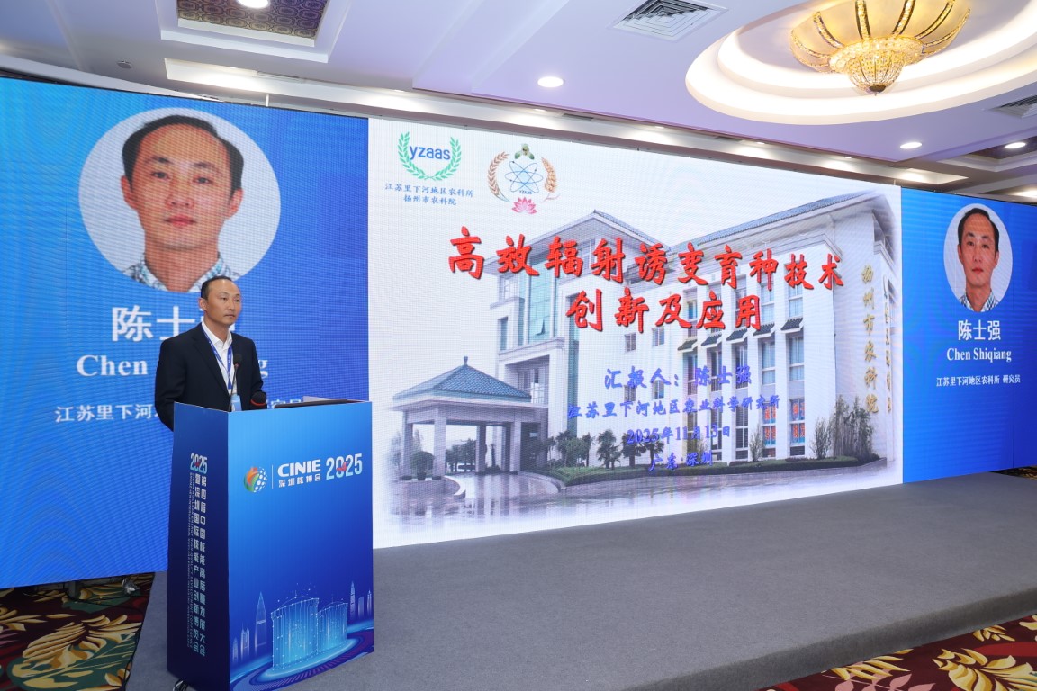 高效辐射诱变育种技术创新及应用——江苏里下河地区农科所研究员陈士强