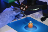 爱达荷国家实验室发现钚六硼化物解锁稀有拓扑量子行为，有望应用于核科学领域